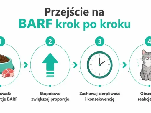 Przejście na BARF krok po kroku: małe porcje, stopniowe zwiększanie, cierpliwość i obserwacja reakcji kota. Jak karmić kota zdrowo!