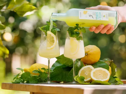 Zwei Gläser mit erfrischendem Limoncello Spritz, garniert mit Zitrone und Minze. Frische Zitronen und Blätter umgeben die Gläser.