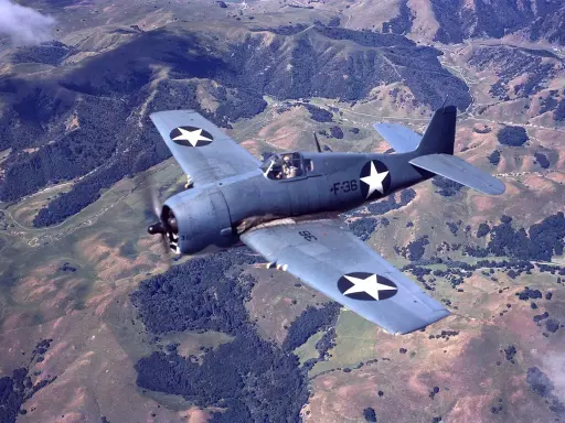 Ein F6F Hellcat-Jäger fliegt über hügeliges, bewaldetes Gelände.