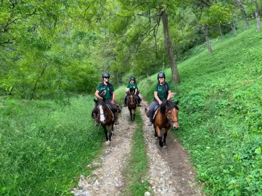 Tre persone fanno passeggiate a cavallo in un bosco verdeggiante in Piemonte.