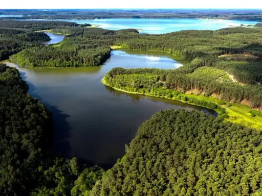 Malownicze jeziora pomorskie otoczone gęstymi lasami sosnowymi, tworzące krajobraz pełen zieleni i błękitu.