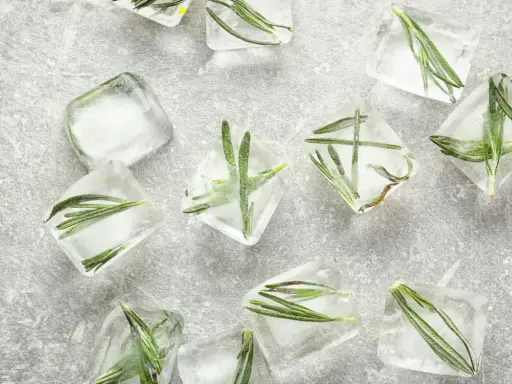 Rosmarin einfrieren: Frische Kräuter in Eiswürfeln für aromatische Cocktails und Gerichte.