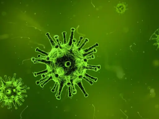 Virus verdi luminosi su sfondo verde scuro, che ricordano l'influenza suina.