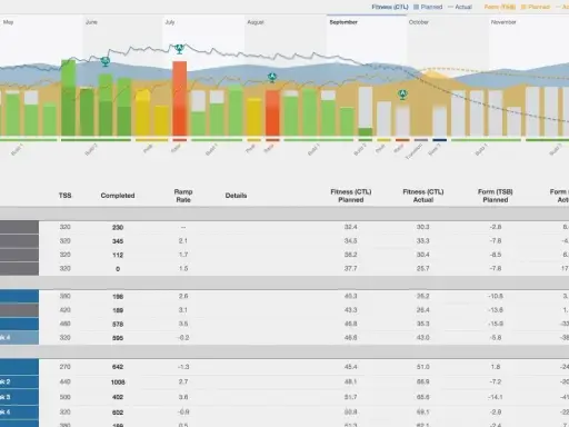 Diagramm zeigt Trainingsphasen, um grundlagenausdauer trainieren. Balken und Linien visualisieren geplante vs. tatsächliche Fitness und Form.