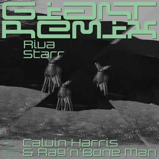 Giant (with Rag'n'Bone Man) [Riva Starr Tribe Vibe Remix] • Cały album • Wszystkie utwory • Wykonawca