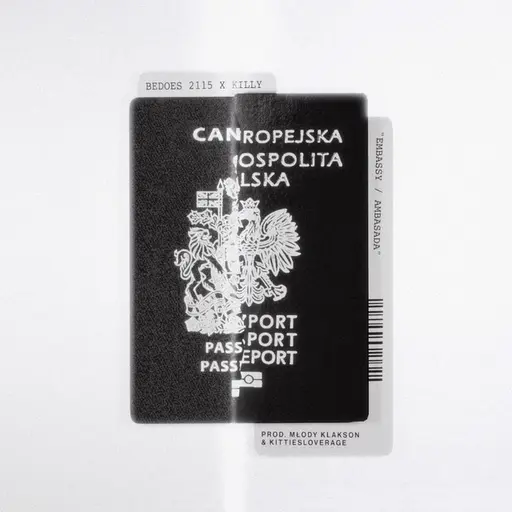 EMBASSY / AMBASADA • Cały album • Wszystkie utwory • Wykonawca