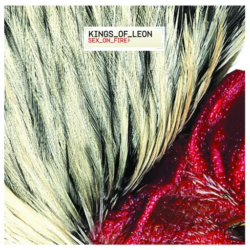 Sex On Fire • Cały album • Wszystkie utwory • Wykonawca