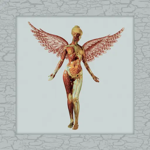 In Utero (30th Anniversary Super Deluxe) • Cały album • Wszystkie utwory • Wykonawca