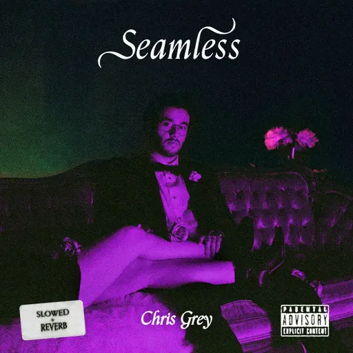 Seamless (Slowed + Reverb) • Cały album • Wszystkie utwory • Wykonawca