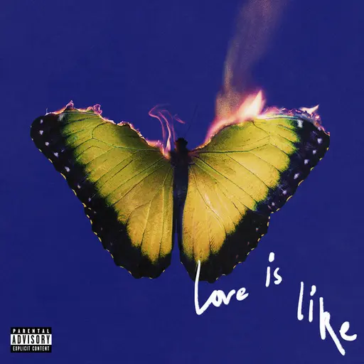 Love Is Like • Cały album • Wszystkie utwory • Wykonawca