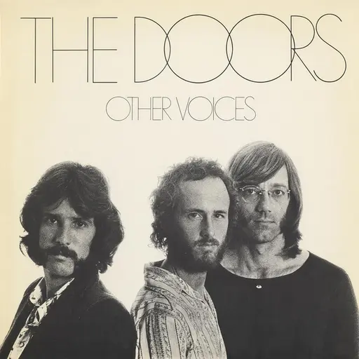 Other Voices • Cały album • Wszystkie utwory • Wykonawca