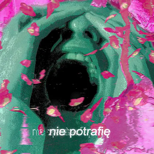 Nie Potrafię • Cały album • Wszystkie utwory • Wykonawca