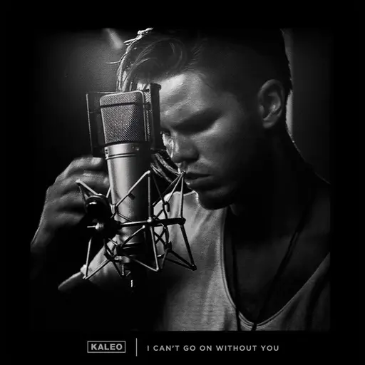 I Can't Go on Without You • Cały album • Wszystkie utwory • Wykonawca