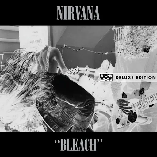 Bleach • Cały album • Wszystkie utwory • Wykonawca