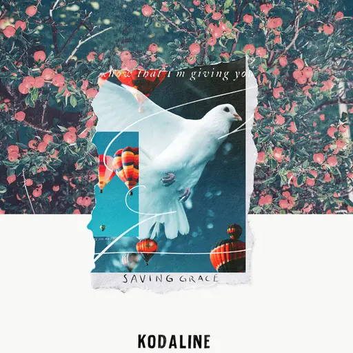 Saving Grace • Cały album • Wszystkie utwory • Wykonawca
