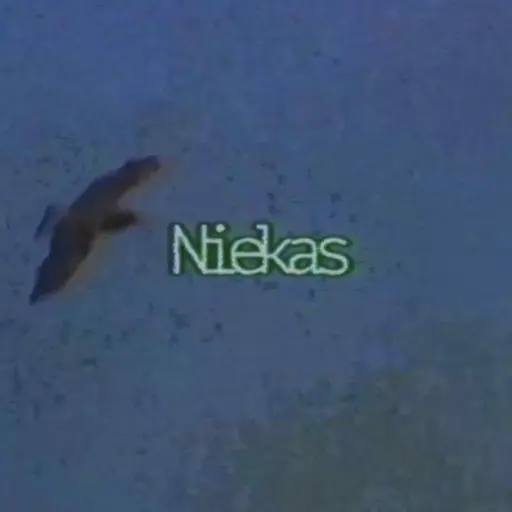 Niekas • Cały album • Wszystkie utwory • Wykonawca