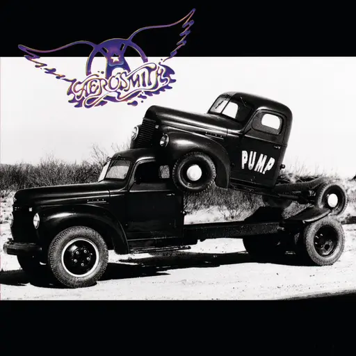 Pump • Cały album • Wszystkie utwory • Wykonawca