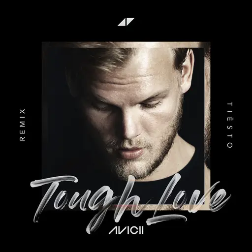 Tough Love (Tiësto Remix) • Cały album • Wszystkie utwory • Wykonawca