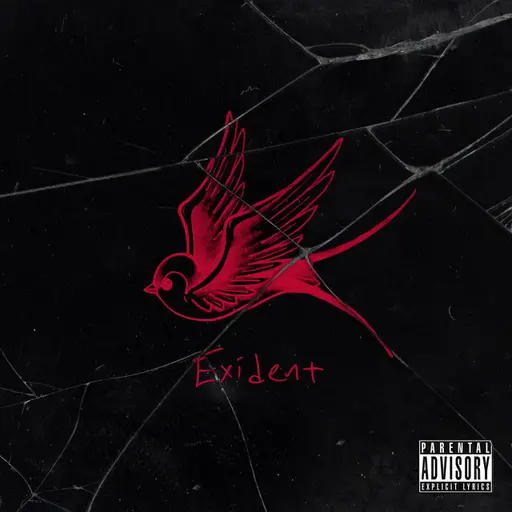Exident • Cały album • Wszystkie utwory • Wykonawca
