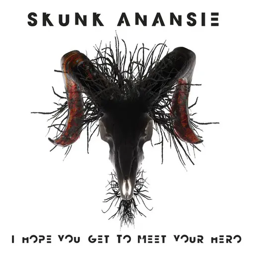 I Hope You Get To Meet Your Hero • Cały album • Wszystkie utwory • Wykonawca