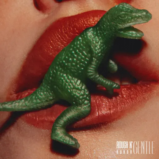 ROUGH N' GENTLE • Cały album • Wszystkie utwory • Wykonawca