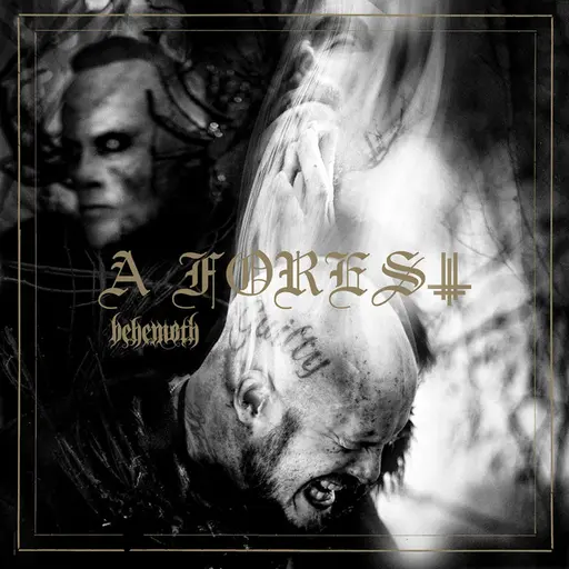 A Forest • Cały album • Wszystkie utwory • Wykonawca