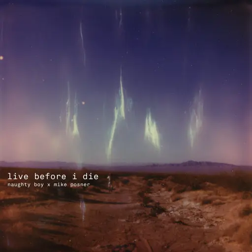 Live Before I Die (Naughty Boy x Mike Posner) • Cały album • Wszystkie utwory • Wykonawca