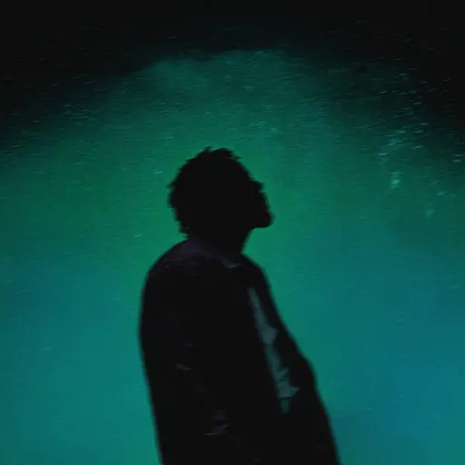 Stargazing (Live from Manchester) • Cały album • Wszystkie utwory • Wykonawca