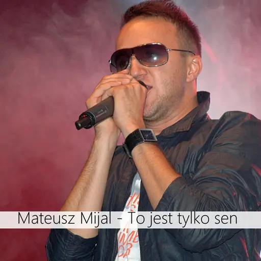 To jest tylko sen • Cały album • Wszystkie utwory • Wykonawca