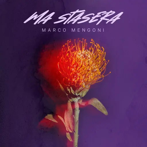 Ma stasera • Cały album • Wszystkie utwory • Wykonawca