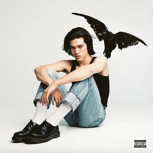 Kid Krow • Cały album • Wszystkie utwory • Wykonawca