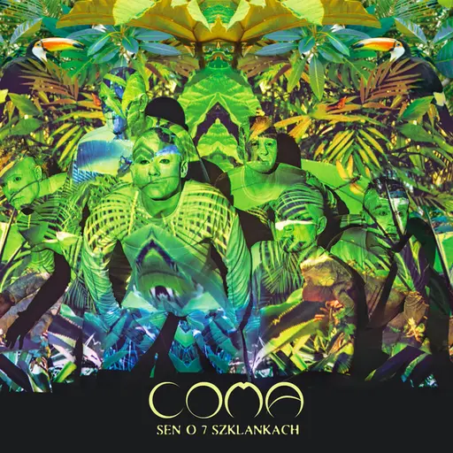 Fantazja • Cały album • Wszystkie utwory • Wykonawca