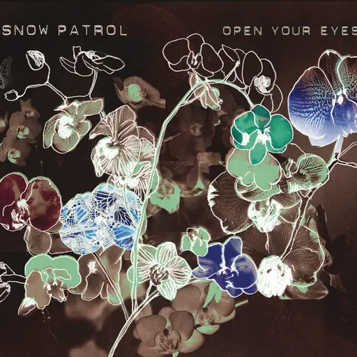 Open Your Eyes • Cały album • Wszystkie utwory • Wykonawca