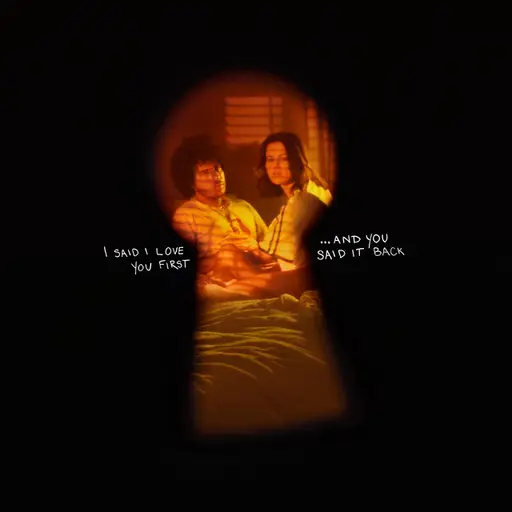I Said I Love You First... And You Said It Back • Cały album • Wszystkie utwory • Wykonawca