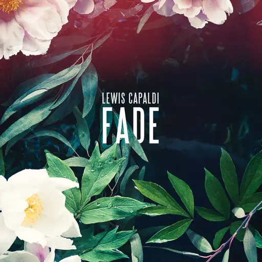 Fade • Cały album • Wszystkie utwory • Wykonawca