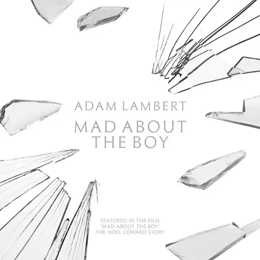 Mad About the Boy • Cały album • Wszystkie utwory • Wykonawca
