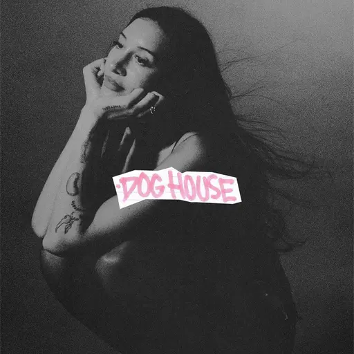 DOG HOUSE • Cały album • Wszystkie utwory • Wykonawca
