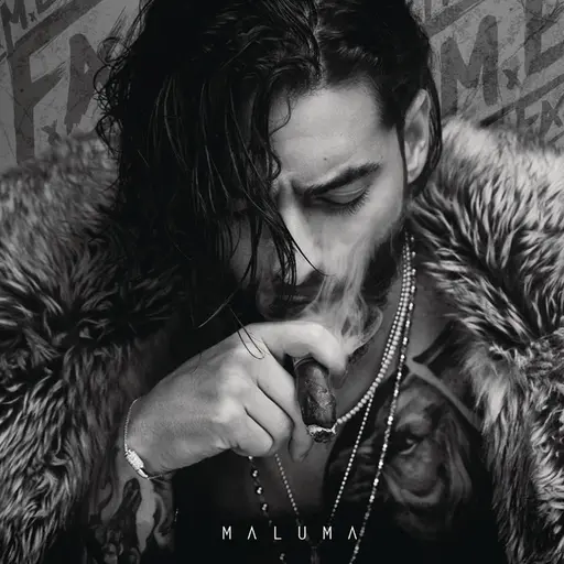 F.A.M.E. • Cały album • Wszystkie utwory • Wykonawca