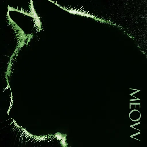 TOXIC • Cały album • Wszystkie utwory • Wykonawca
