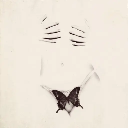 BUTTERFLY • Cały album • Wszystkie utwory • Wykonawca