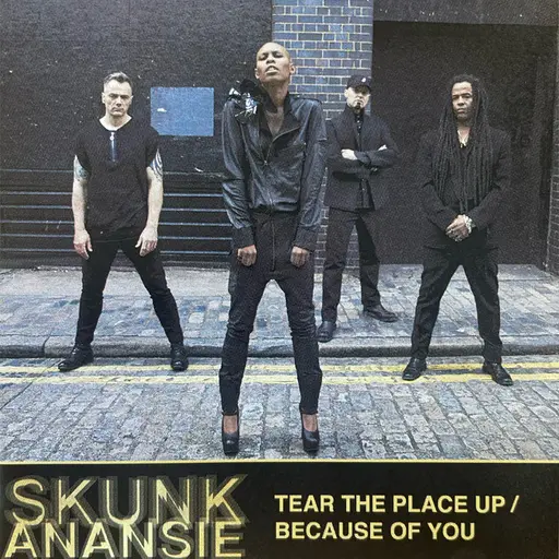 Tear The Place Up/ Because Of You • Cały album • Wszystkie utwory • Wykonawca
