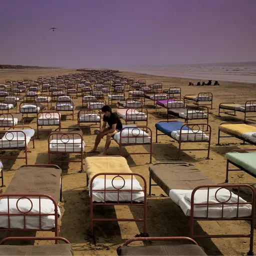 A Momentary Lapse of Reason • Cały album • Wszystkie utwory • Wykonawca