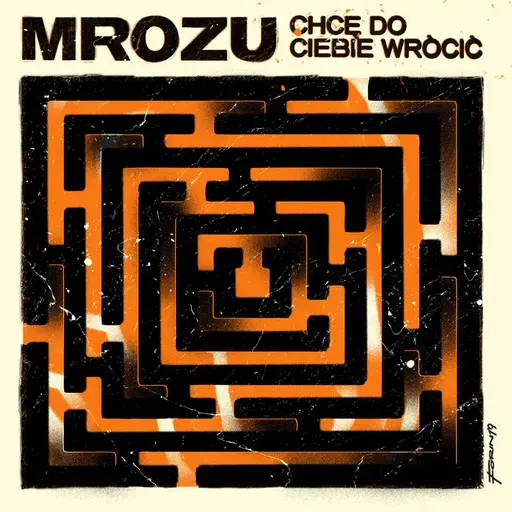 Chcę Do Ciebie Wrócić • Cały album • Wszystkie utwory • Wykonawca