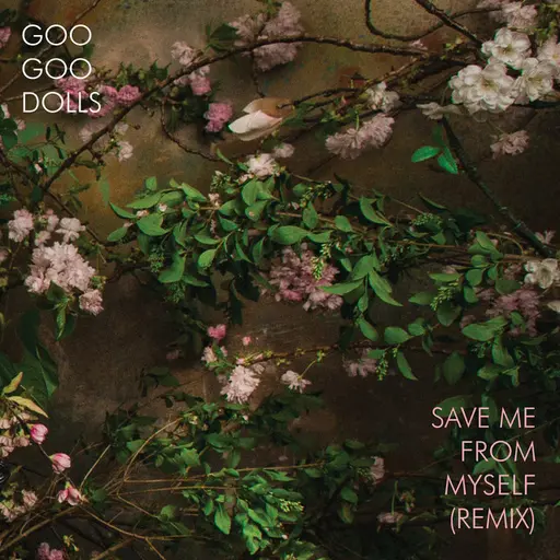 Save Me From Myself (Remix) • Cały album • Wszystkie utwory • Wykonawca
