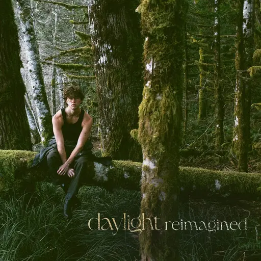 Daylight (Reimagined) • Cały album • Wszystkie utwory • Wykonawca