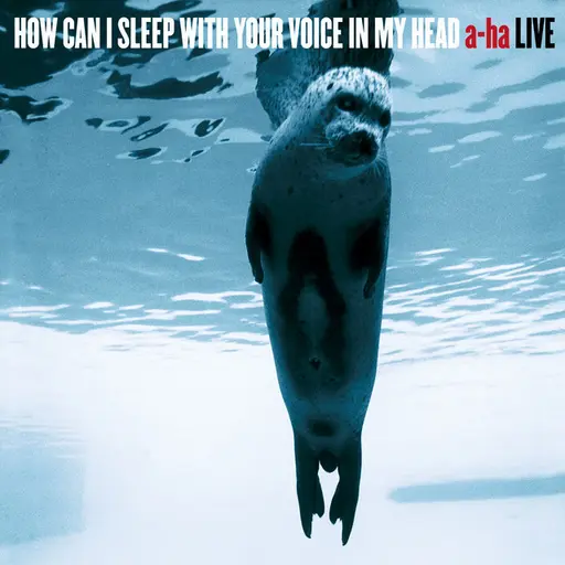 How Can I Sleep With Your Voice In My Head • Cały album • Wszystkie utwory • Wykonawca