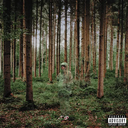 I Love You, I’m Trying • Cały album • Wszystkie utwory • Wykonawca