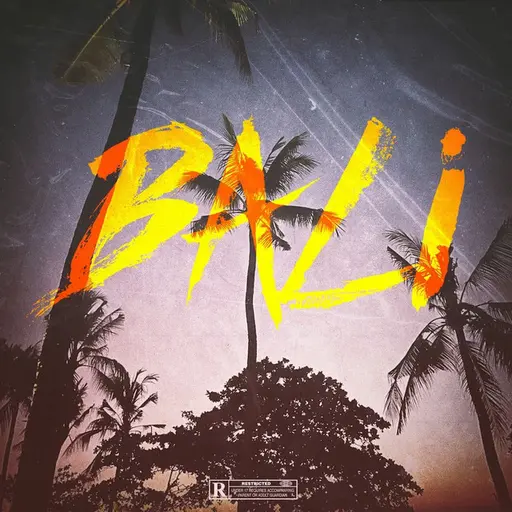 BALI • Cały album • Wszystkie utwory • Wykonawca
