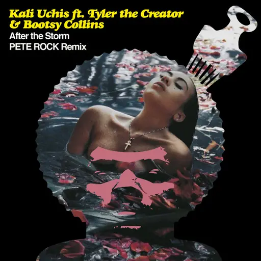 After The Storm (Pete Rock Remix) • Cały album • Wszystkie utwory • Wykonawca