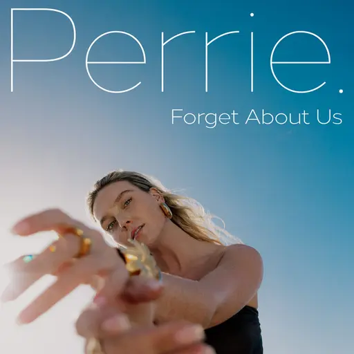 Forget About Us • Cały album • Wszystkie utwory • Wykonawca